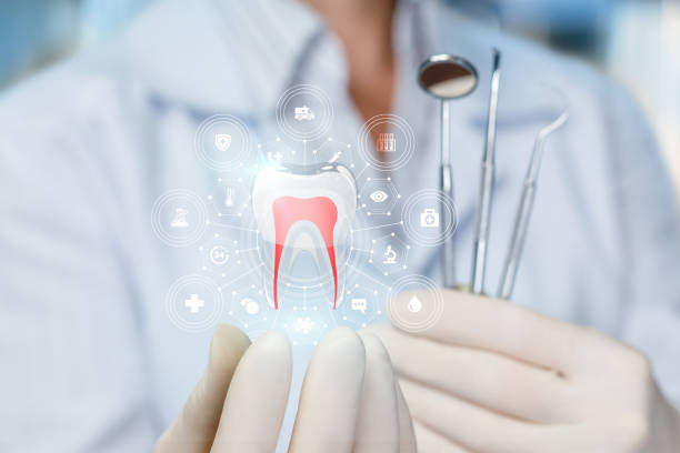 Best General Dentistry  in Lecanto, FL